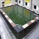 왜관ic실내바다낚시터 이미지