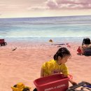 3박4일 제주여행 공동육아 | 롯데렌터카 아르떼키즈파크 아덴힐리조트 대정농협 하나로마트