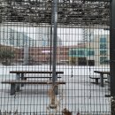 상곡병설유치원 이미지