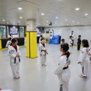 용인대 안산 타이거즈 태권도장 이미지