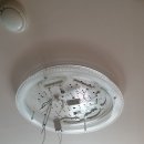 달전약국 이미지