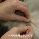 녹양동물병원 이미지