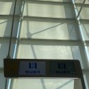 사가 하나투어 패키지여행 후기 1 ✈️(이마리 센트럴, 다케오, 유후인, 식도원, 맥스밸류 이마리 역, 금상...