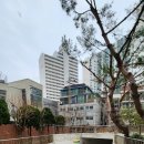 대흥동태영아파트 상가 이미지