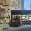 필동물종합병원 이미지