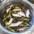 장태산 농장 | 가수원동 맛집 [느티나무집]구봉산,장태산 근처추천 한식맛집 점심특선 시래기솥밥 존맛탱