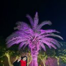 제주희동이네 이미지