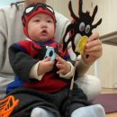 딩동댕 플레이 키즈스쿨(8~14개월) 이미지