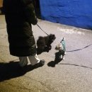 애:영스테이 이미지