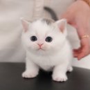 청도메디컬 이미지