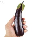영화야채과일