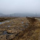 밤섬마을회관 이미지