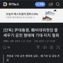 윤석열 한동훈비대워 지지철회 이미지