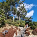 고운최치원선생동상 | [부산여행㉗] 동백섬 동백공원, 고운 최치원선생 동상, 운대산(해운대동백섬,부산동백섬),부산가볼만한...