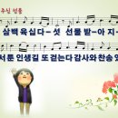 (주)삼백