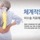 가자연세병원 Daum카페