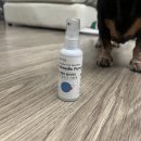 해보축산 | [강아지진드기기피제] 모기 걱정 끝! 산책 필수템 애니메딕 퓨리가드 강아지모기기피제 사용후기