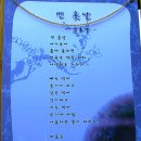 삼성산 삼막사 삼귀자(三龜字)의 뜻