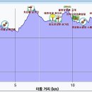치악산둘레길 9코스 자작나무길 이미지