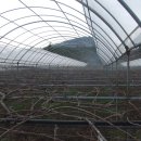 소랑다래랑 이미지