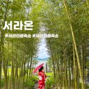 성암저수지 입구 | 충남 서산 1박 2일 신상 숙소 추천 | 일본풍 프라이빗 감성숙소 서라온 힐링여행
