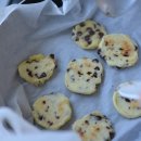 봉의중학교 이미지