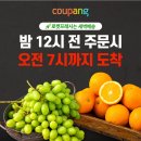 CU 김해삼계예스점 | 제주도여행후기 #1. 김해공항에서 제주항공 타고 제주도 여행가서 렌트카 빌려타기까지