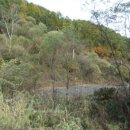 강림면316 이미지