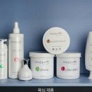 판디스 이미지