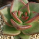 동운농장 이미지