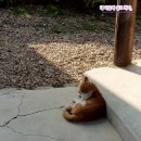 다금식당 이미지