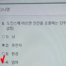 가현아구찜 이미지