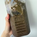 B.D.6 임당 식단 및 혈당 기록 (간식, 외식, 배달 메뉴 추천, 돈까스, 나베, 햄버거, 샤브샤브, 피자 등)