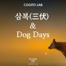 황도dog | 삼복(三伏)과 개의 날들