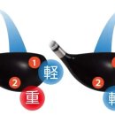 지니코