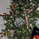 이마트24 R카페광교거리점 | 수원대형트리카페 카페수나 광교카페거리 크리스마스데이트