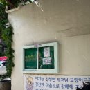 대각사 | [부산핫플]🏯 남포동 대각사: 도심 속의 고요한 사찰+이재모피자바로옆 더블코스