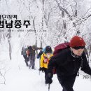 (주)폰토스