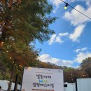 정리수납 테라피 이미지