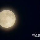노다지농원