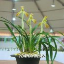 소심 이미지