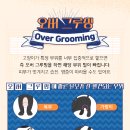밍그루밍 이미지