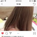 합성동365 이미지