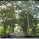 보현산칼국수 이미지