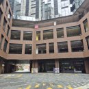 돌핀 | 두돌 아기 옷 가성비 브랜드 &#39;돌핀웨일&#39; 내돈내산 후기