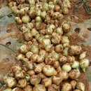 아주-0044 이미지