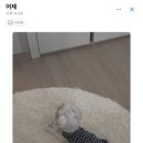 SOL NAIL 이미지