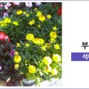 반송1동시장 이미지