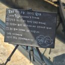 망원동 맛집 오꼬노미야끼 바 오시 망원 본점 후기!