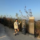 내가 사랑하는 사람들과 함께한 가을 / 드럼세탁기호스연장, 이천장지훈초밥, 광교에뜰레앙C컬펌 후기